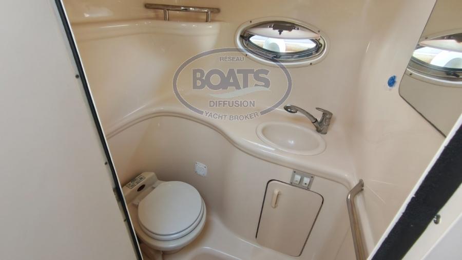 sea ray Sea ray 290 amberjack