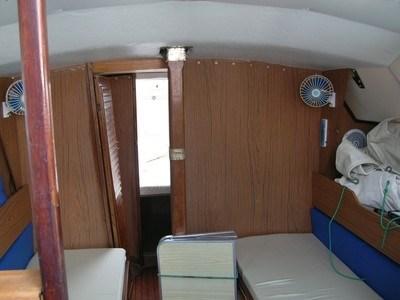 nautic saintonge Scampi