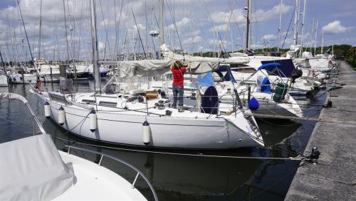  contessa 43