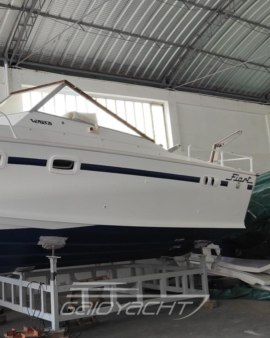 fiart mare 25 venus