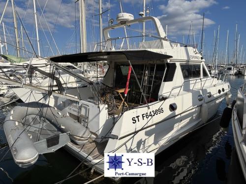 Piantoni fantasy 45