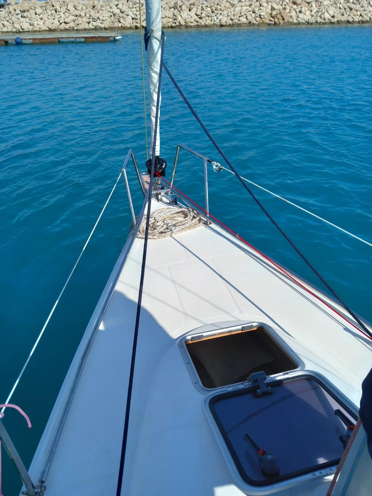 sobusiak yacht yard Focus 800