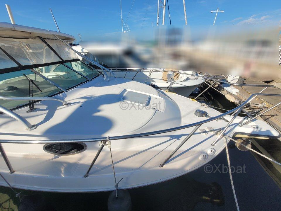 wellcraft Wellcraft coastal 290