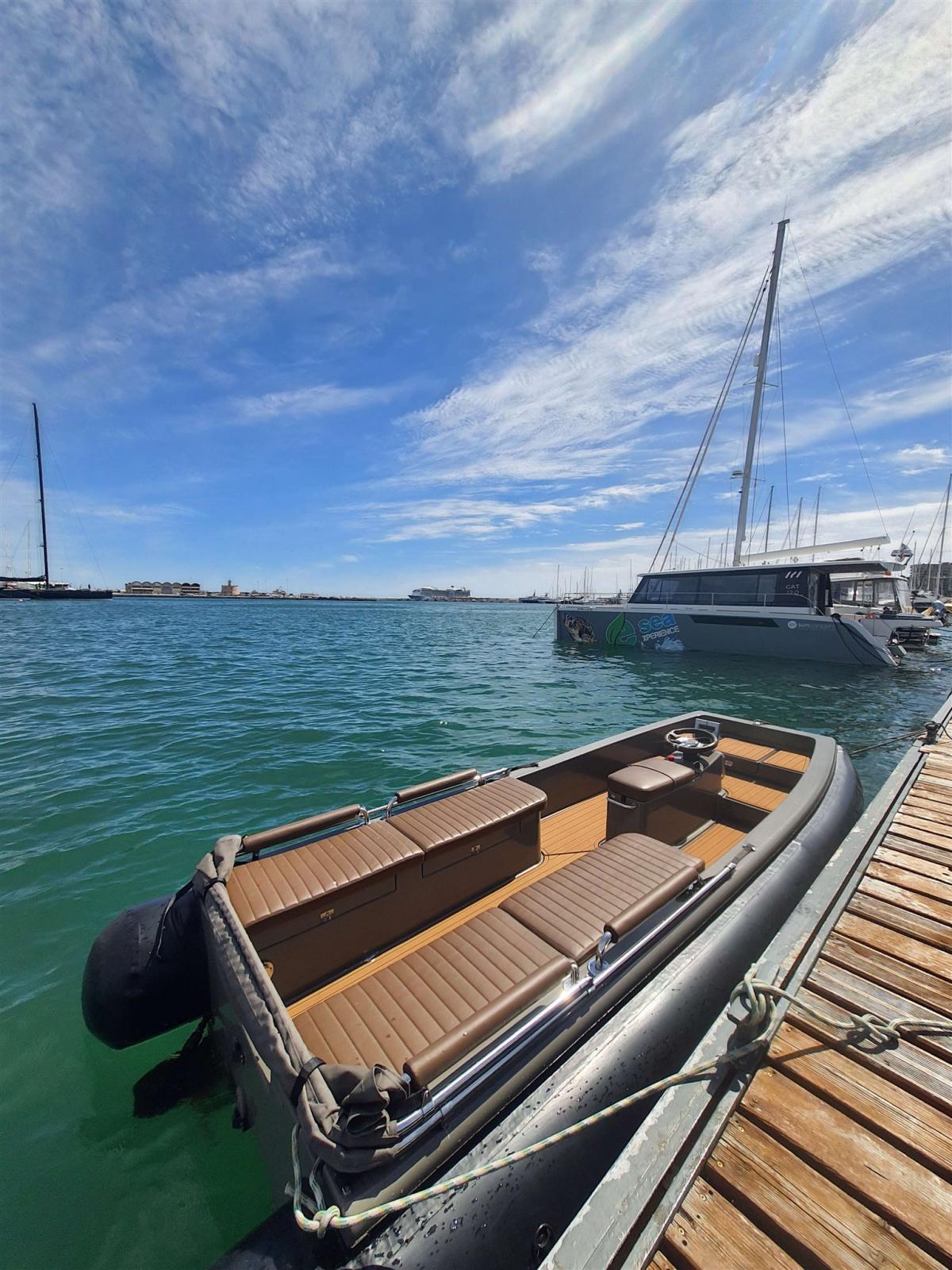 yachtwerft hamburg Ribcat 4.3