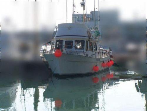 Cheoy lee trawler