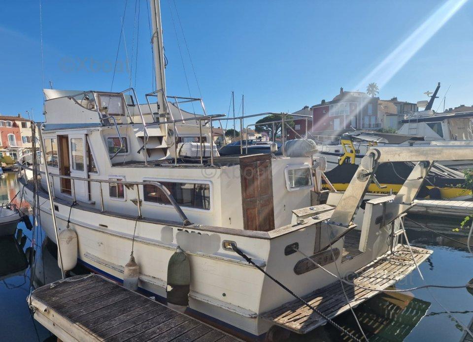 hiptimco marine Hiptimko gt 40