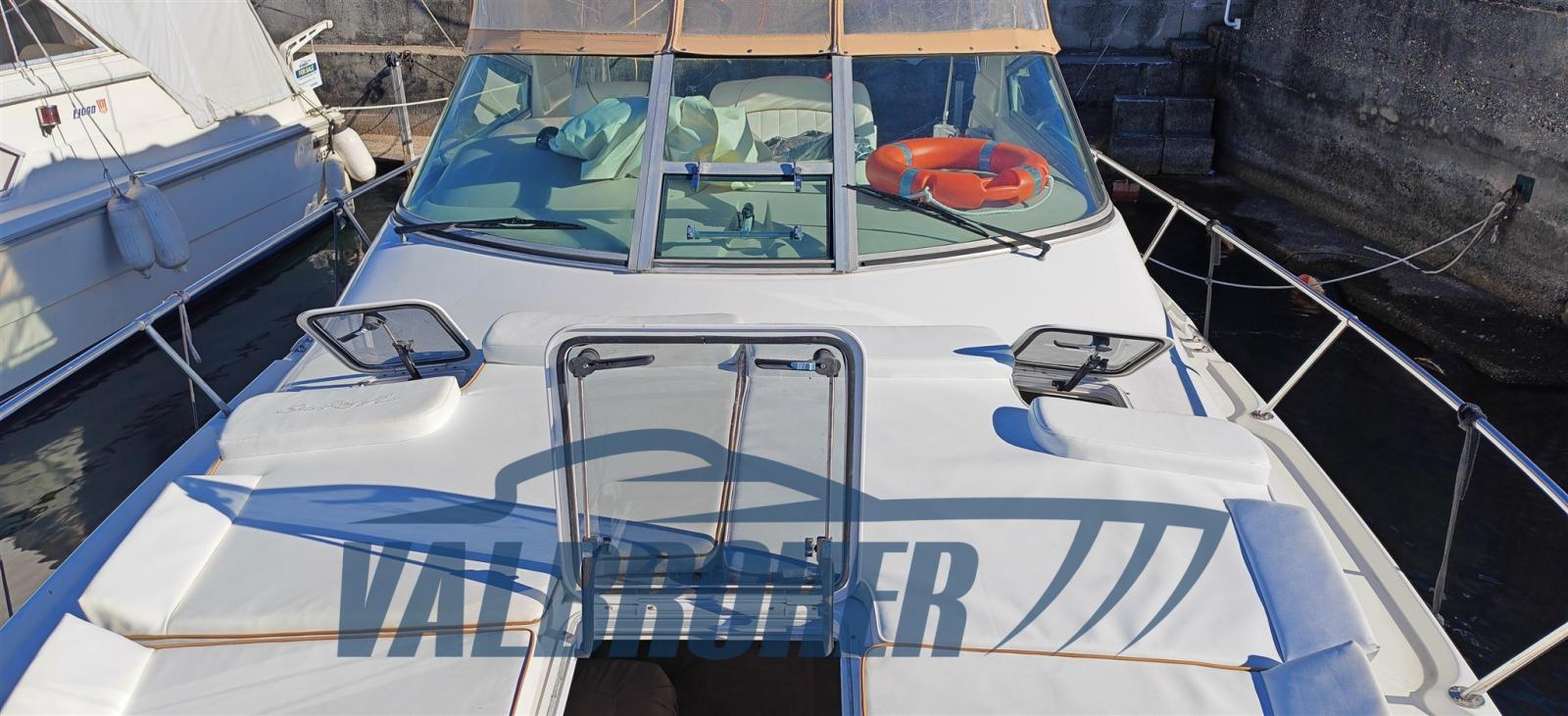 sea ray 310 sundancer