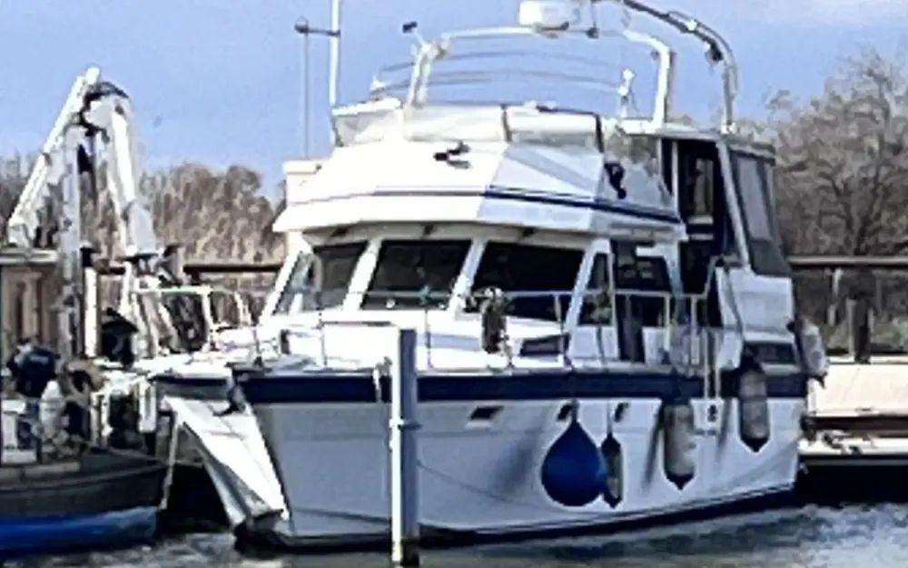 hi star Hi star 48 fly