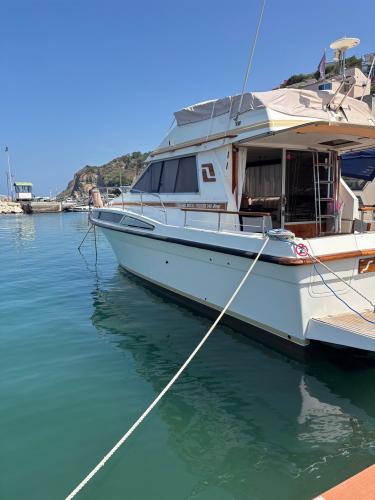 Storebro royal cruiser storebro 340 biscay