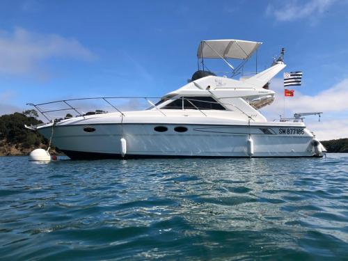 fairline Brava 33