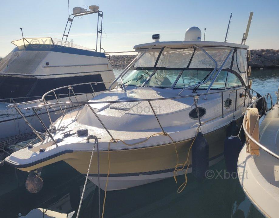 wellcraft Wellcraft coastal 290