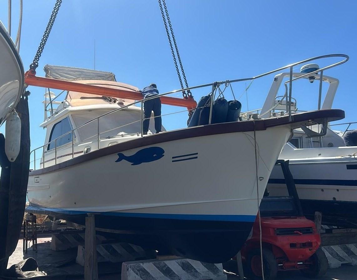 sciallino Sciallino 34' fly