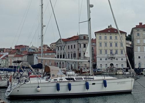 Jeanneau sun odyssey 43