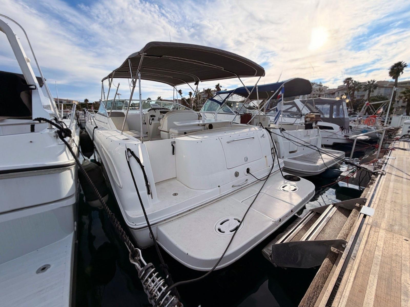 sea ray 290 amberjack