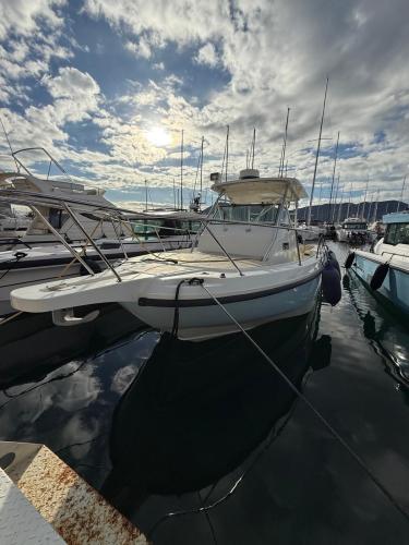 Boston whaler 290 outrage