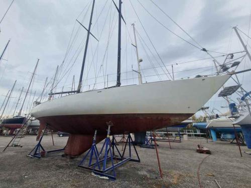 Sciarelli scia 50
