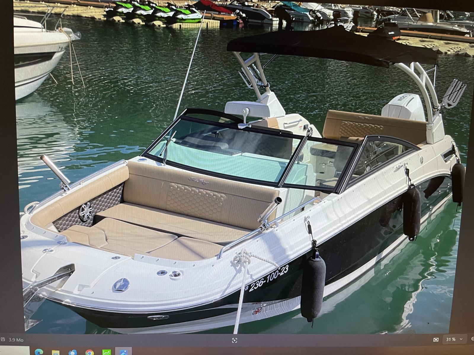 sea ray 250 sdx ob