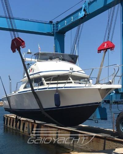 Bertram yacht 28' sf