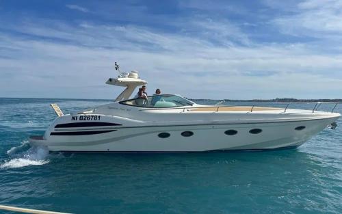 Sagittarius dart 460 ht