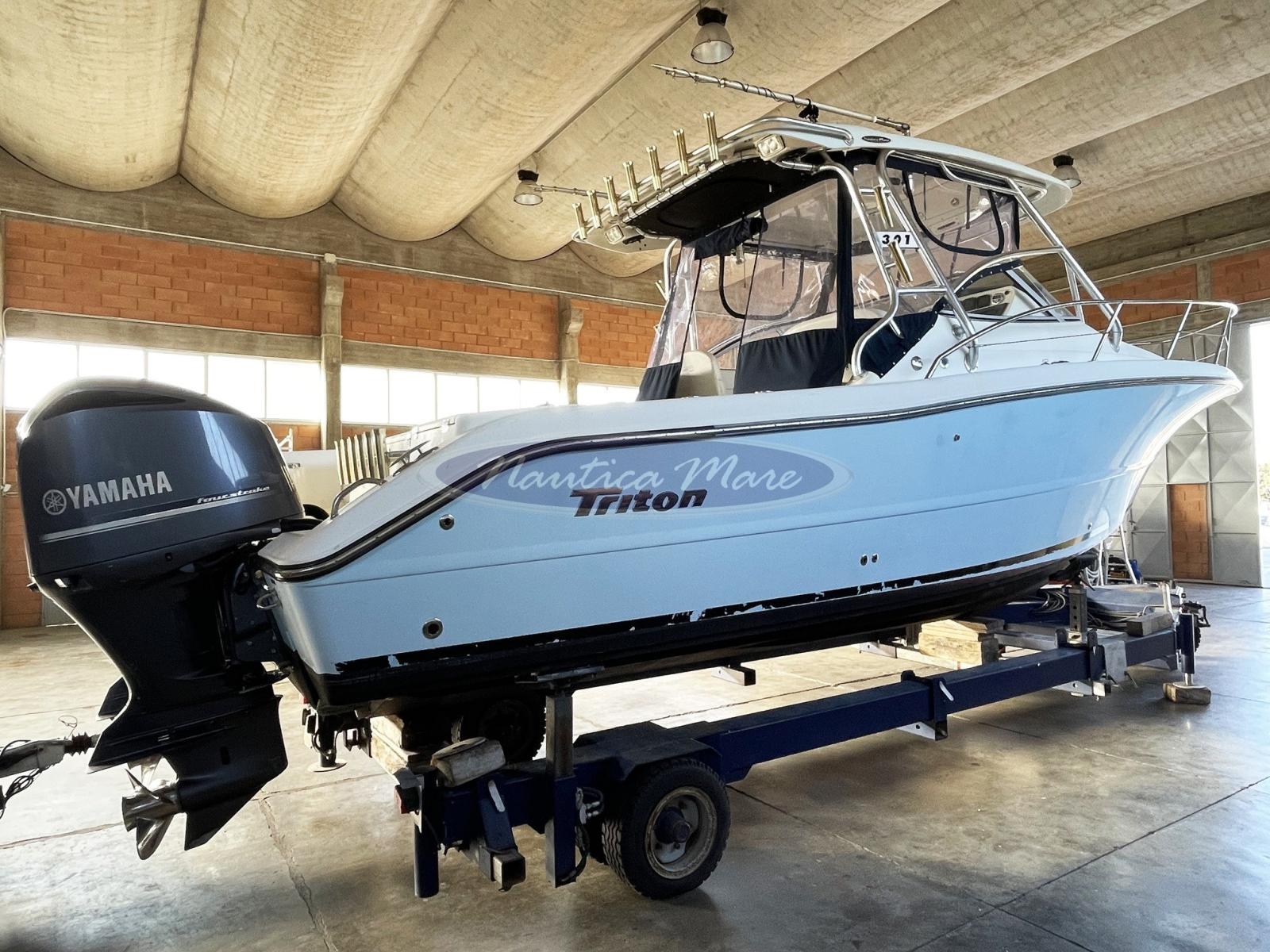 triton 301 xd