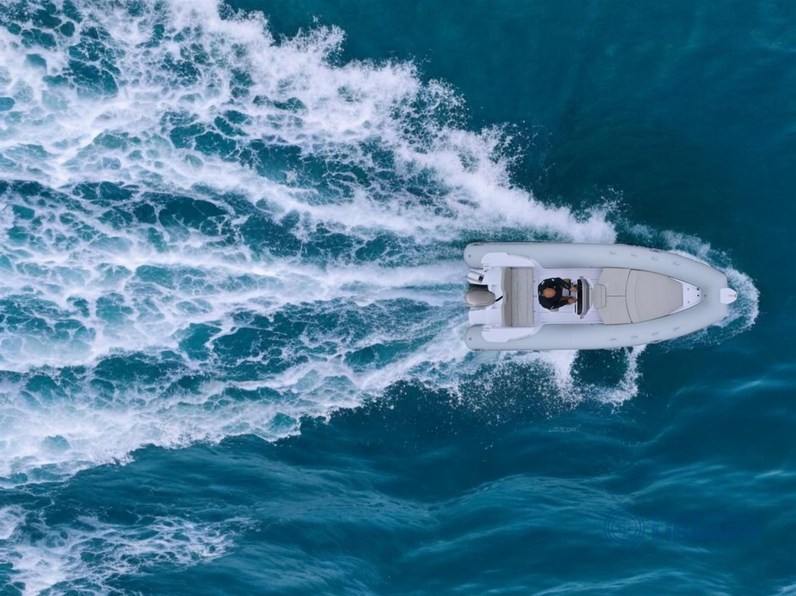 italboats Predator 599 ts v2026