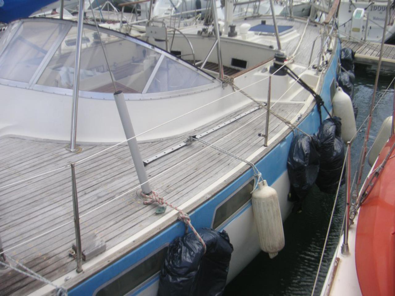 wauquiez Amphitrite 43