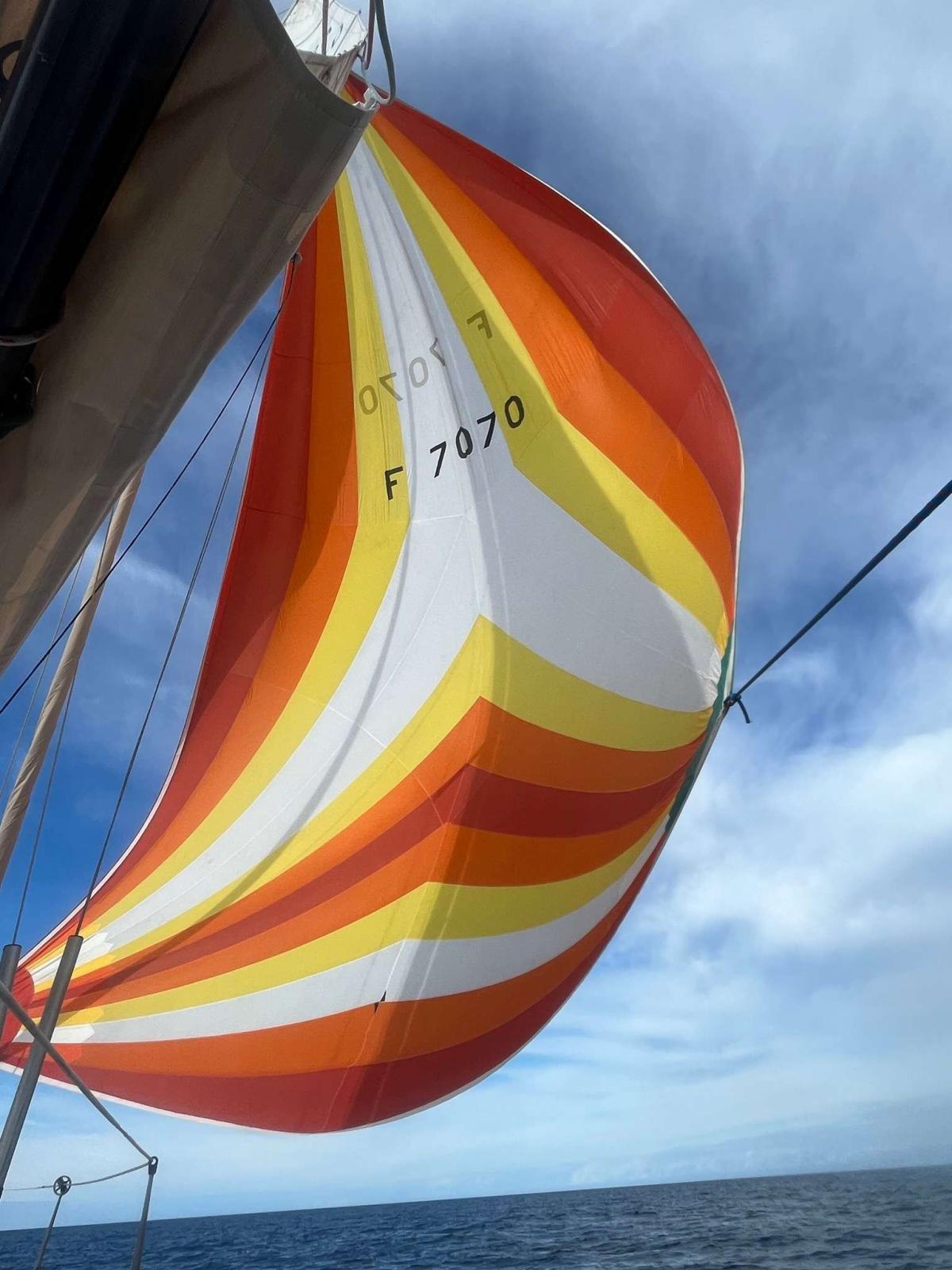 Vitech Marine 35 Race