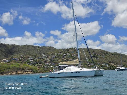 Alliaura marine privilege 495